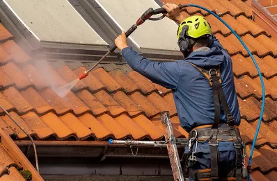 Démoussage et hydrofuge de toiture à Auxant